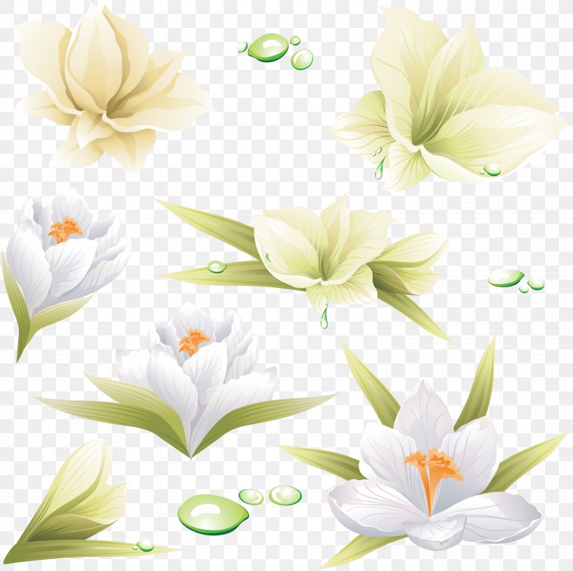 Flower Lilium, PNG, 6147x6130px, Flower, Cdr, Flora, Floral Design, Floristry Download Free