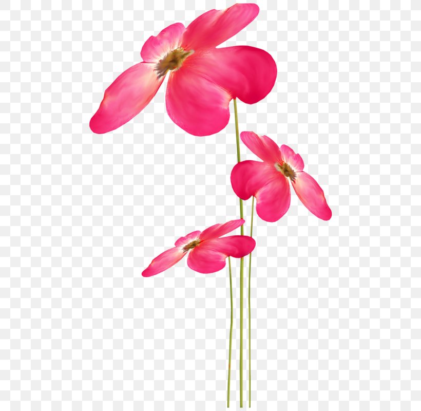 Flower Petal Clip Art, PNG, 484x800px, Flower, Blossom, Chemical Element, Cut Flowers, Drawing Download Free