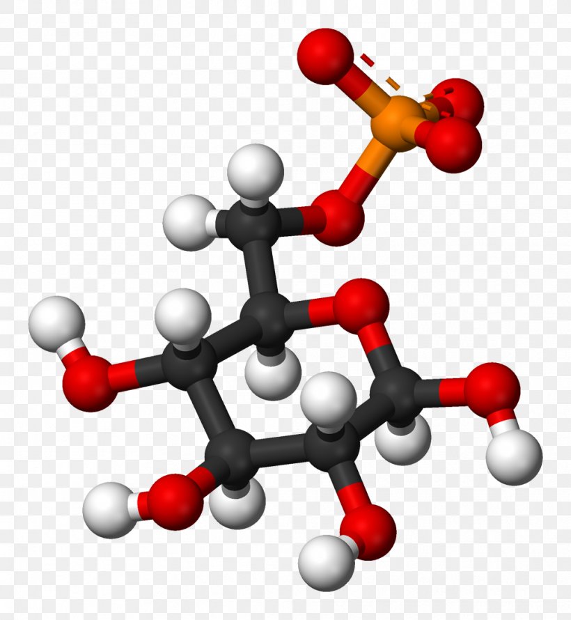 Glucosamine Chemistry Chemical Substance Joint Chondroitin Sulfate, PNG, 1013x1100px, Glucosamine, Arthritis, Biochemistry, Cancer, Chemical Substance Download Free