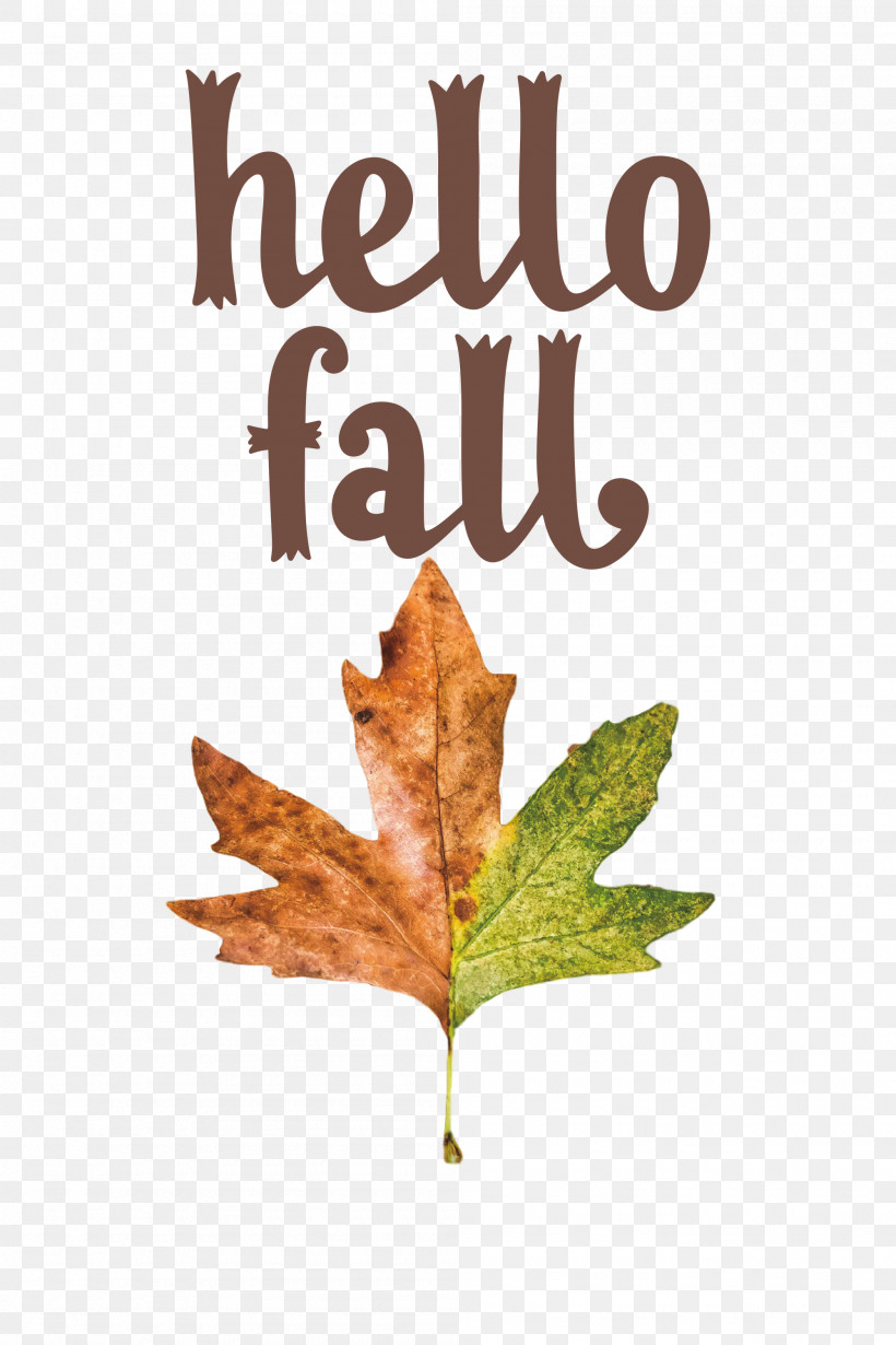 Hello Fall Fall Autumn, PNG, 2000x3000px, Hello Fall, Autumn, Autumn Wreath, Craft, Fall Download Free