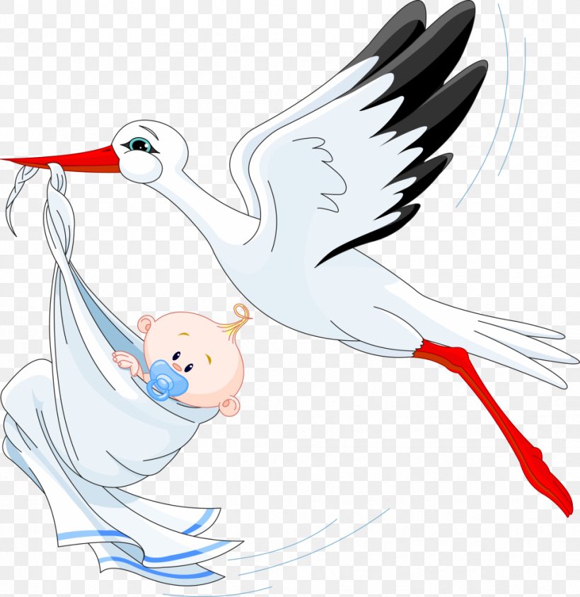 Infant Stork Clip Art, PNG, 971x1000px, Infant, Artwork, Baby Transport, Beak, Bird Download Free