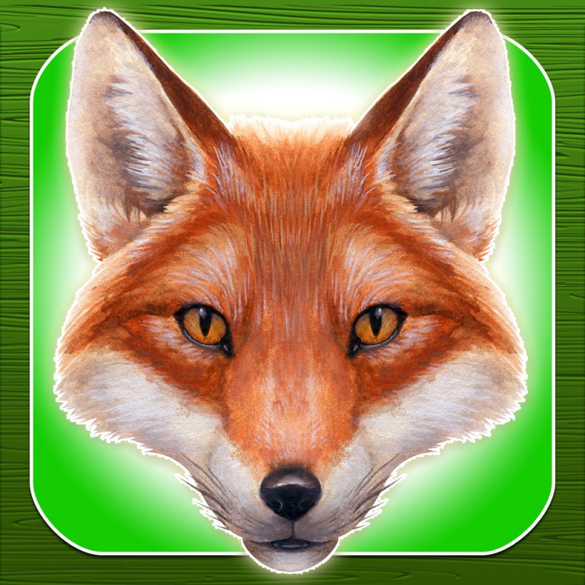 Red Fox Drawing Zazzle, PNG, 1024x1024px, Red Fox, Animal, Art, Carnivoran, Dog Like Mammal Download Free