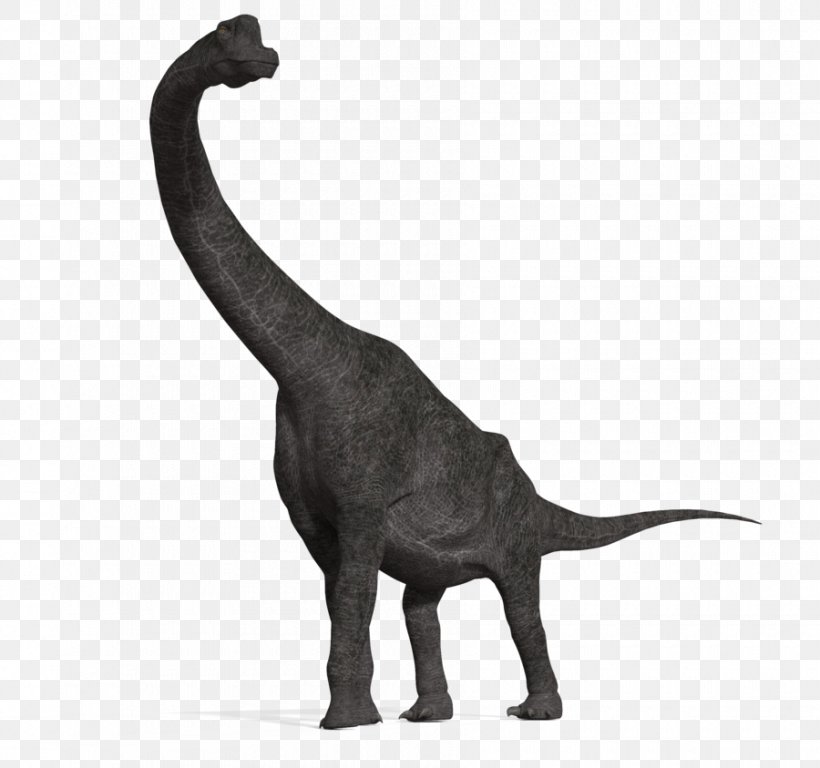 Brachiosaurus Apatosaurus Diplodocus Tyrannosaurus Plesiosauria, PNG, 900x843px, Brachiosaurus, Animal Figure, Apatosaurus, Carnivores Dinosaur Hunter, Dinosaur Download Free