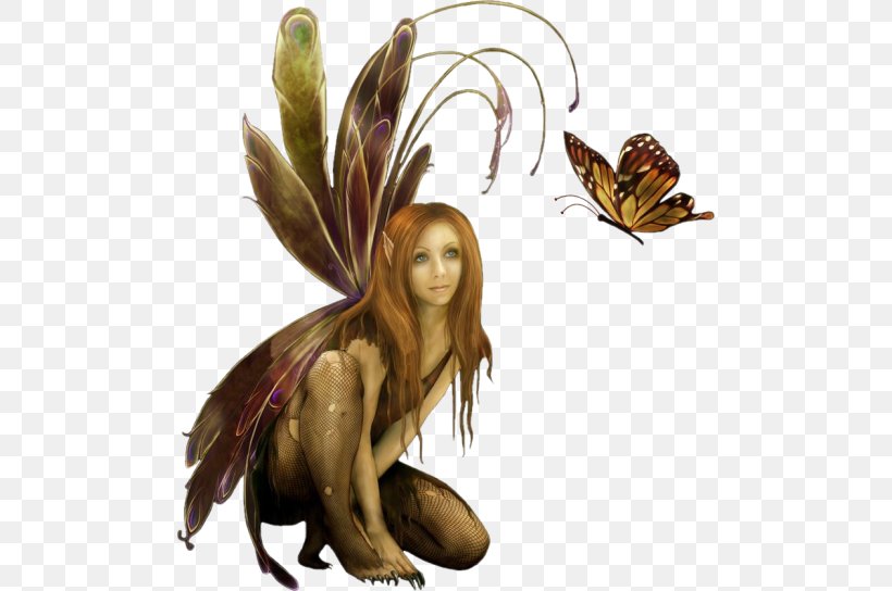 Fairy Elf Woman, PNG, 494x544px, Fairy, Duende, Elf, Female, Fictional Character Download Free