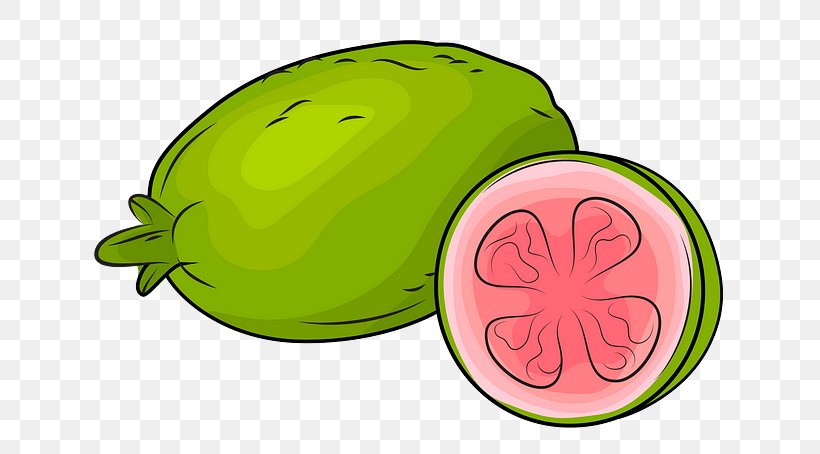 Watermelon, PNG, 640x454px, Green, Cucumber Gourd And Melon Family, Food, Fruit, Leaf Download Free