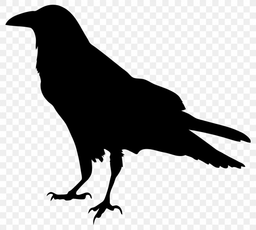 American Crow Common Raven Silhouette Drawing, PNG, 1000x899px, American Crow, Beak, Bird, Black And White, Common Raven Download Free