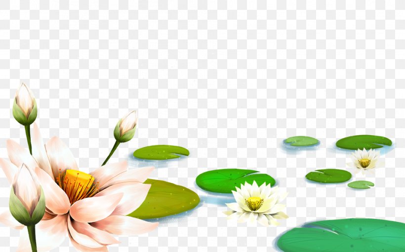 China Nelumbo Nucifera Falun Gong Pygmy Water-lily Illustration, PNG, 953x595px, China, Daisy, Falun Gong, Flora, Floral Design Download Free