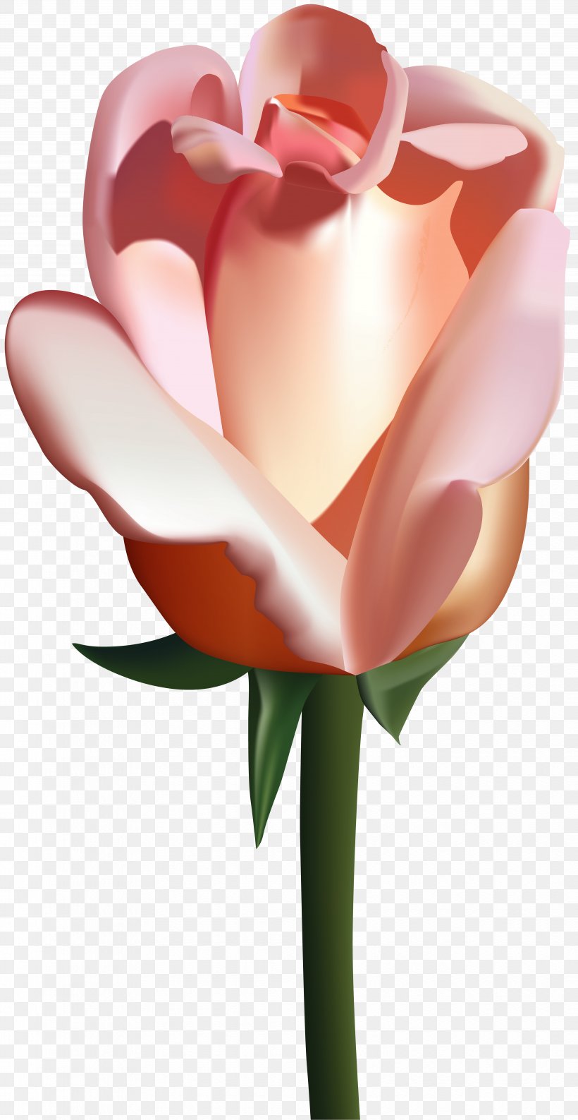 Garden Roses Clip Art, PNG, 4132x8000px, Rose, Blog, Floral Design, Floristry, Flower Download Free