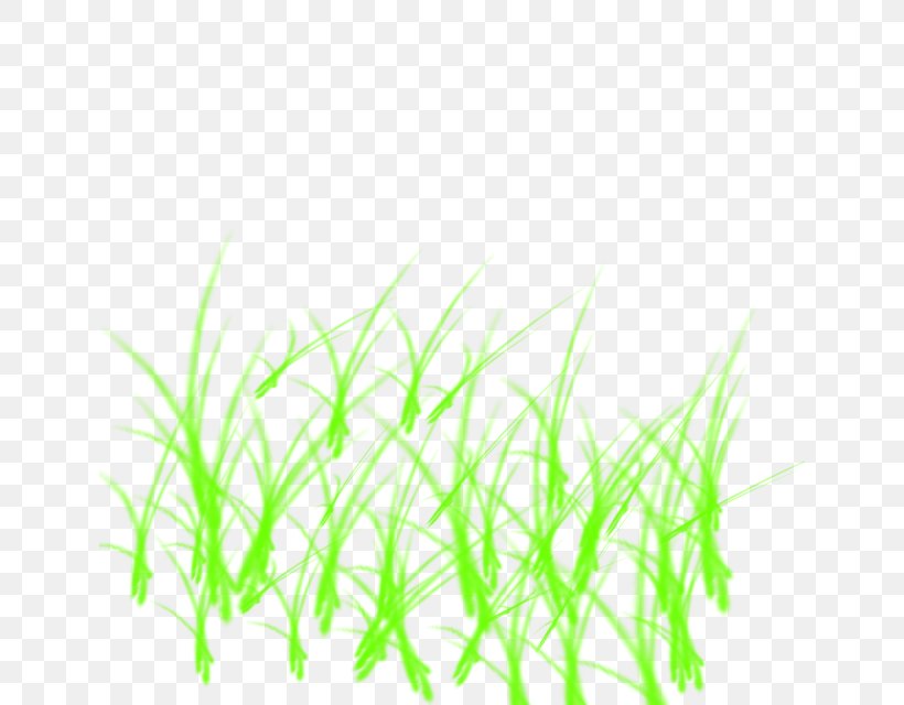 Sweet Grass Green Line Aquarium, PNG, 640x640px, Sweet Grass, Aquarium, Aquarium Decor, Commodity, Grass Download Free
