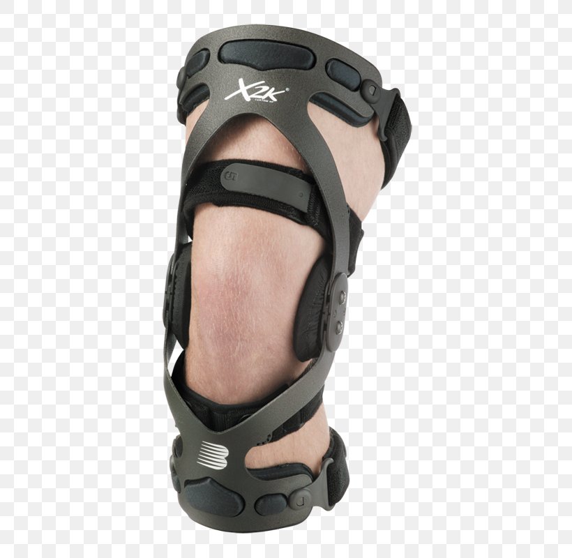 Anterior Cruciate Ligament Knee Breg, Inc. Posterior Cruciate Ligament, PNG, 800x800px, Anterior Cruciate Ligament, Breg Inc, Fibular Collateral Ligament, Footwear, Joint Download Free
