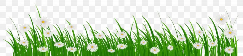 Flower Grasses Clip Art, PNG, 8000x1846px, Flower, Blue, Chrysopogon Zizanioides, Commodity, Common Daisy Download Free