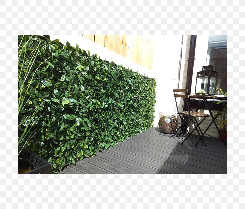 Hedge Fence Garden Patio Furniture, PNG, 700x700px, Hedge, Box, Chair, Evergreen, Fence Download Free