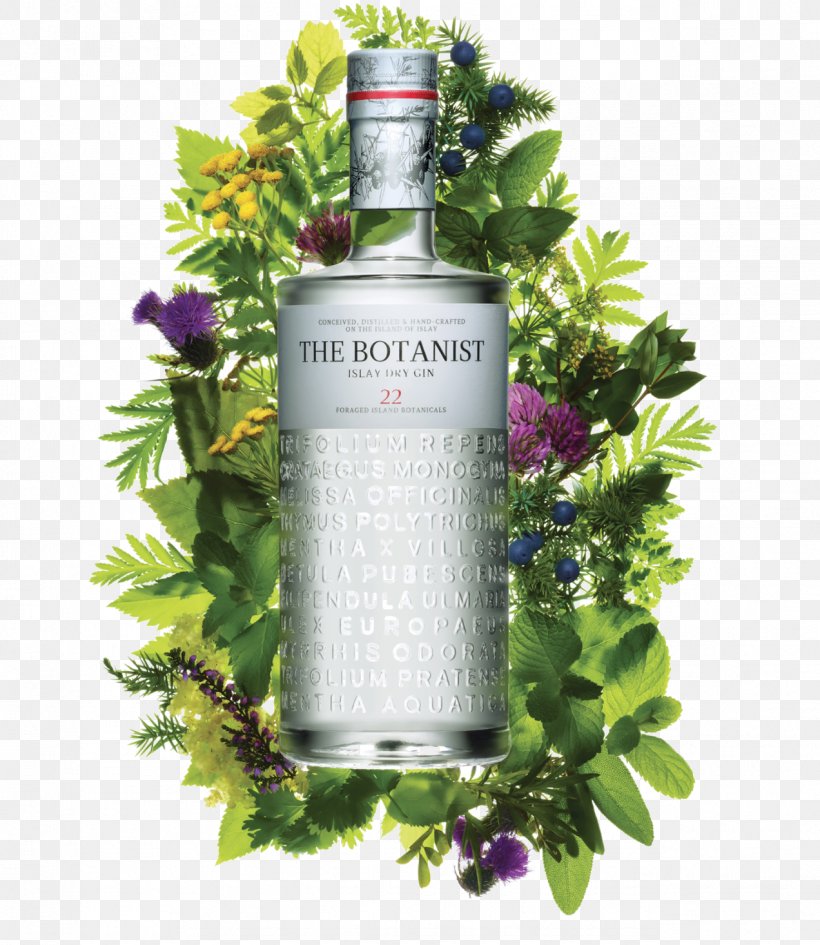 Islay The Botanist Gin Liquor Whiskey, PNG, 1272x1466px, Islay, Alcohol By Volume, Alcoholic Beverage, Botanicals, Botanist Download Free