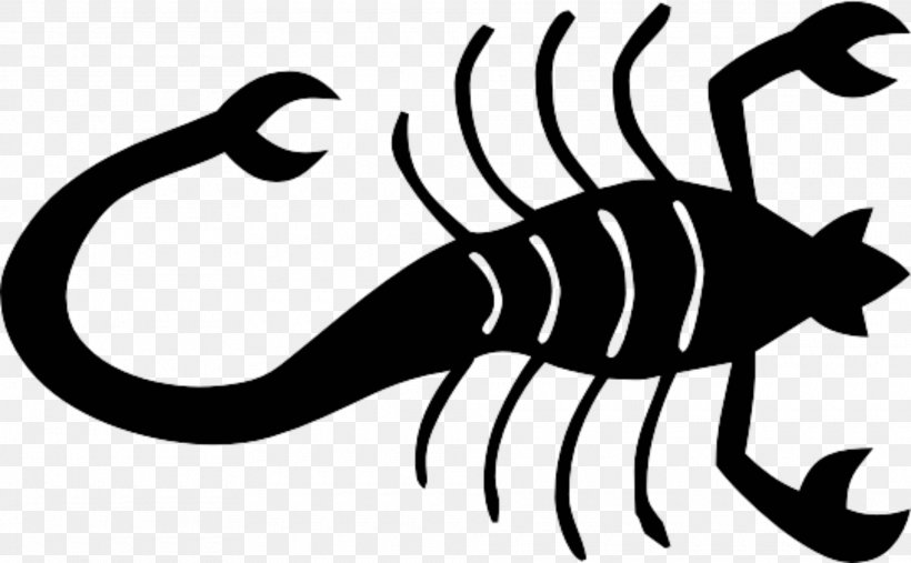 Scorpion Clip Art, PNG, 1920x1189px, Scorpion, Artwork, Black And White, Cercophonius Squama, Invertebrate Download Free