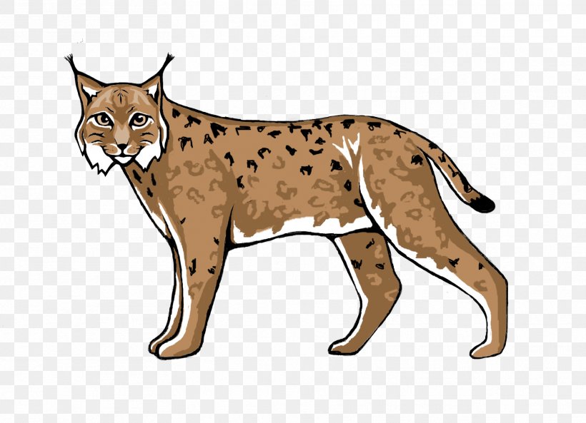 Wildcat Lynx Cougar Cheetah, PNG, 1768x1280px, Wildcat, Animal Figure, Big Cat, Big Cats, Biodiversity Download Free
