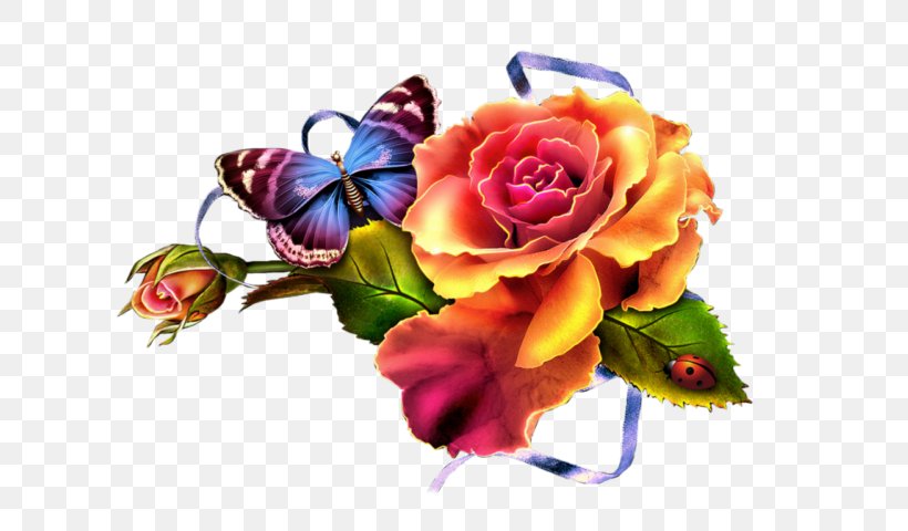 Cut Flowers Floral Design Clip Art Garden Roses, PNG, 640x480px, Flower, Artificial Flower, Cut Flowers, English Roses, Floral Design Download Free