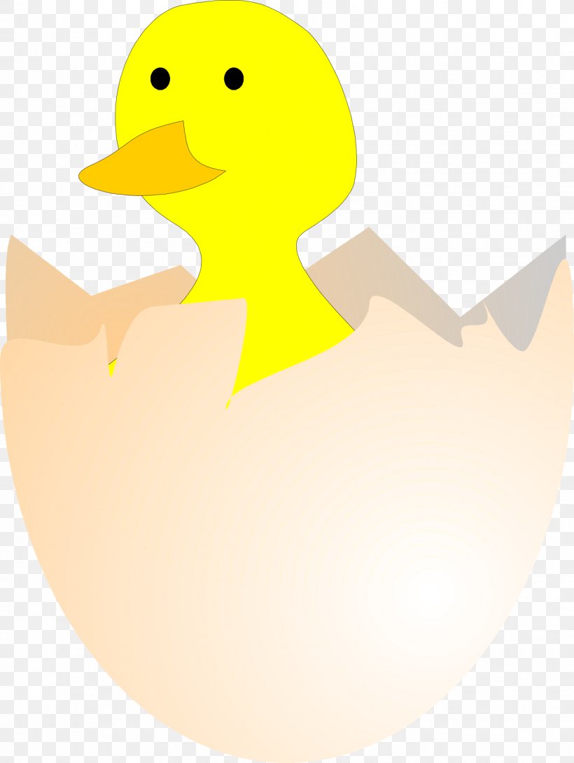 Duck Chicken Kifaranga Clip Art, PNG, 1444x1920px, Duck, Art, Beak, Bird, Cartoon Download Free