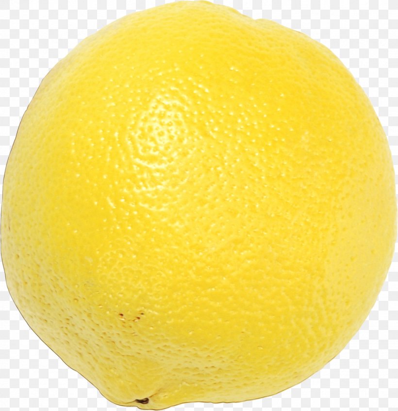 Lemon Yellow Citrus Fruit Sweet Lemon, PNG, 1546x1597px, Watercolor, Citric Acid, Citron, Citrus, Fruit Download Free