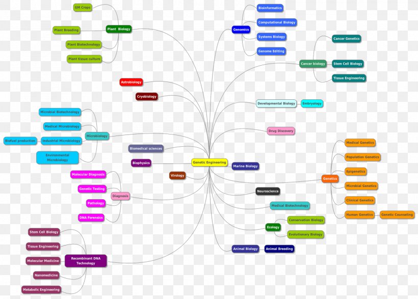 SRM Institute Of Science And Technology Genetics Molecular Biology Biotechnology, PNG, 1600x1147px, Genetics, Biology, Biotechnology, Brand, College Download Free