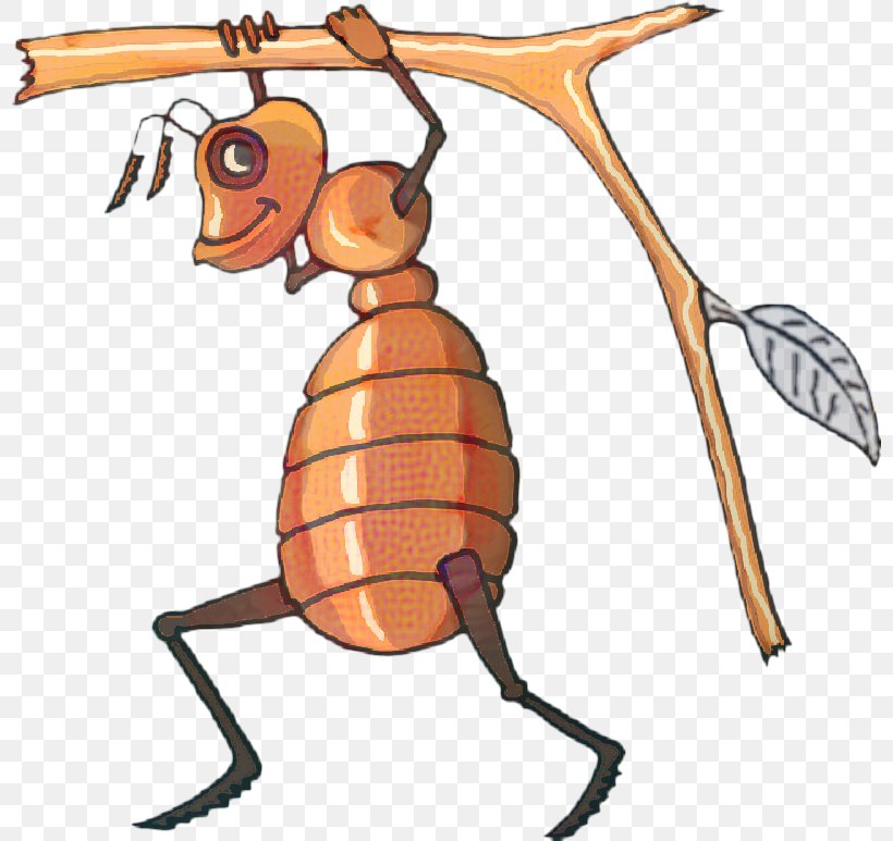 Ant Cartoon, PNG, 798x773px, Ant, Bee, Cartoon, Drawing, Hornet Download Free