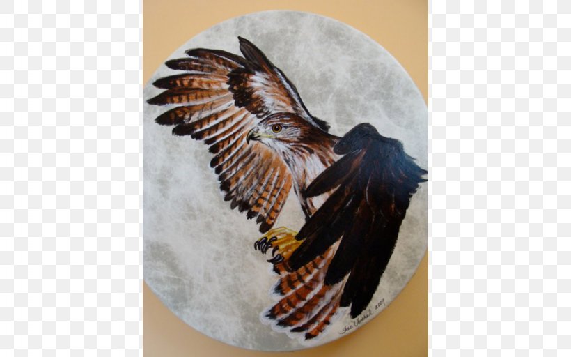 Earth And Spirit Gallery Taos Bird Of Prey Bald Eagle, PNG, 1024x640px, Earth And Spirit Gallery, Accipitriformes, All Rights Reserved, Art Museum, Bald Eagle Download Free