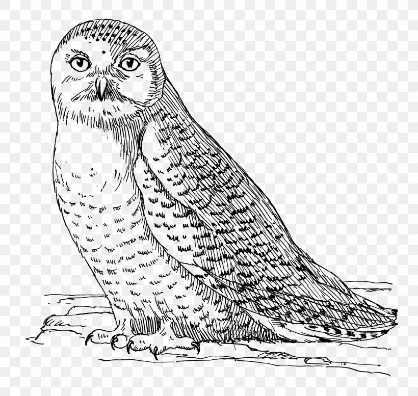 Great Horned Owl Bird Parrot Barn Owl, PNG, 3272x3104px, Owl, Animal, Art, Artwork, Barn Owl Download Free