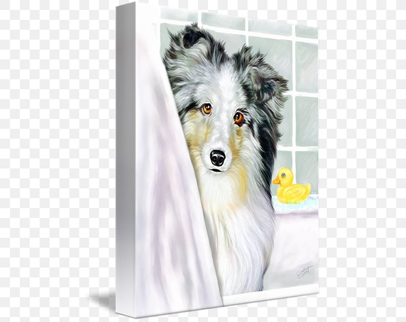 Shetland Sheepdog Dog Breed Australian Shepherd Rough Collie Old English Sheepdog, PNG, 480x650px, Shetland Sheepdog, Australian Shepherd, Blanket, Blue Merle, Breed Download Free