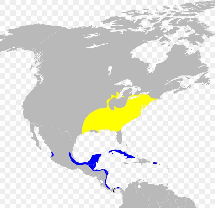 United States Map Endangered Species Big Free-tailed Bat Lion, PNG, 1057x1024px, United States, Area, Common Nighthawk, Cougar, Country Download Free