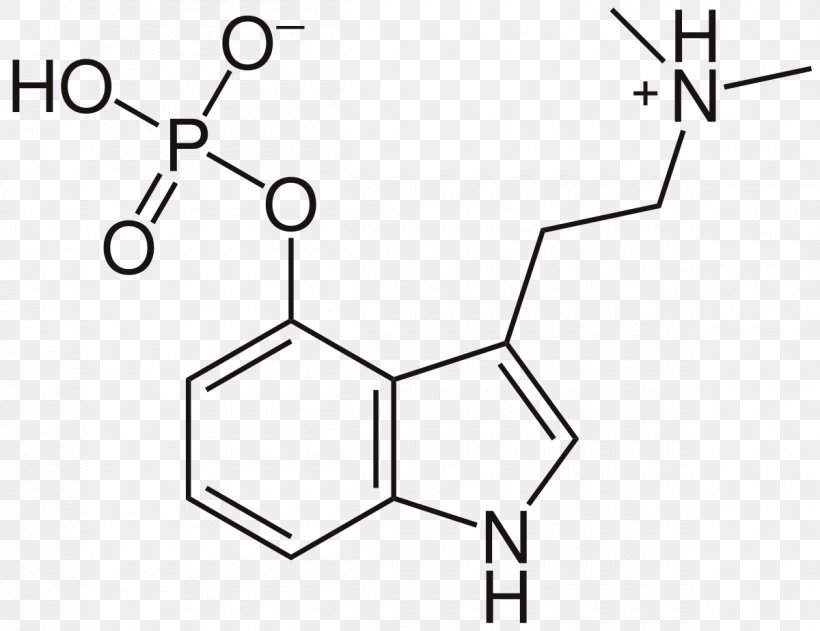 Psilocybin Mushroom Psychedelic Drug Molecule Liberty Cap, PNG, 1200x924px, Psilocybin Mushroom, Area, Black And White, Chemical Substance, Chemistry Download Free