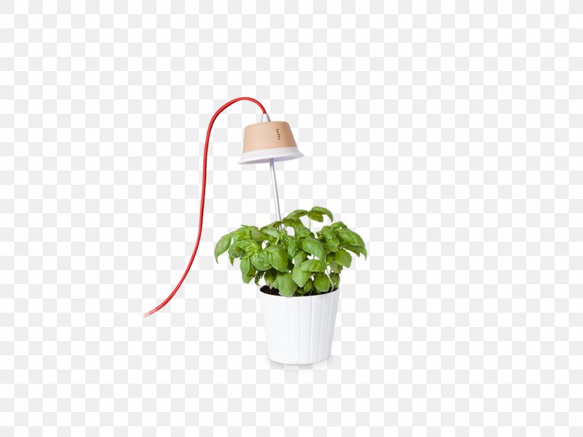 Flowerpot Lamp Light Fixture Plant Grow Light, PNG, 1024x768px, Flowerpot, Chlorophyll, Cynara, Grow Light, Herb Download Free
