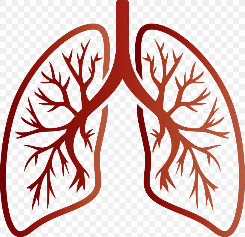 Lungs COVID Corona Virus Disease, PNG, 3000x2904px, Lungs, Corona Virus Disease, Covid, Leaf, Ornament Download Free