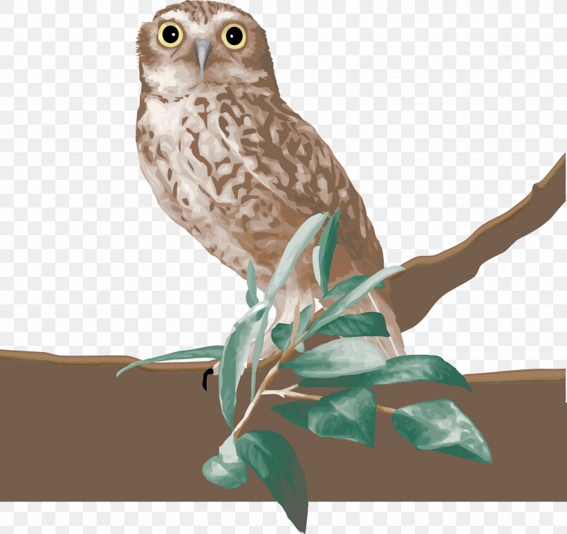Owl Bird Columbidae Clip Art, PNG, 3500x3297px, Owl, Animal, Beak, Bird, Bird Of Prey Download Free