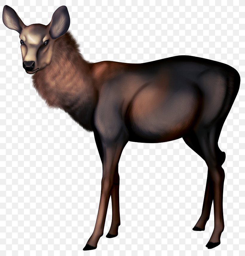 Sheep Ahuntz Saanen Goat Elk, PNG, 819x859px, Sheep, Ahuntz, Animal, Antelope, Antler Download Free