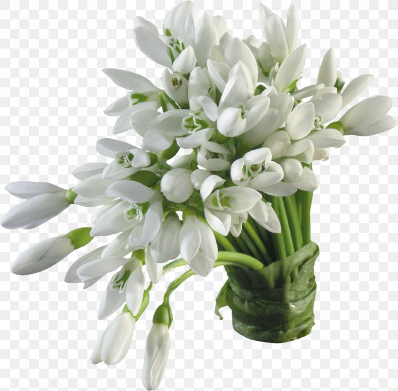 Snowdrop Flower, PNG, 1200x1180px, Snowdrop, Amaryllidaceae, Crocus, Cut Flowers, Digital Image Download Free
