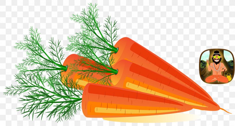 Clip Art Carrot Image Vector Graphics Illustration, PNG, 1068x573px, Carrot, Art, Christmas Ornament, Food, Orange Download Free
