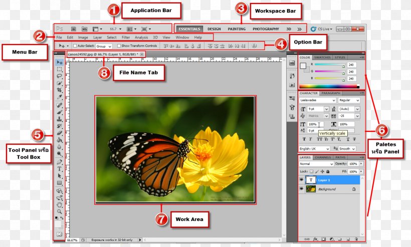 Screenshot Adobe Systems Computer Program, PNG, 1356x818px, Screenshot, Adobe Systems, Butterfly, Command, Computer Download Free