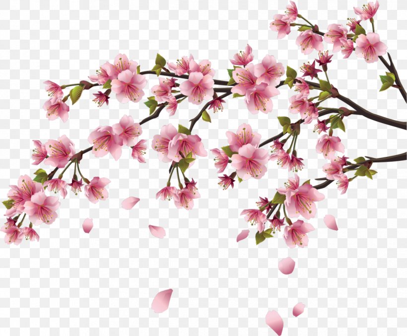 Cherry Blossom Wall Decal Branch, PNG, 1239x1024px, Cherry Blossom, Blossom, Branch, Cherry, Decal Download Free