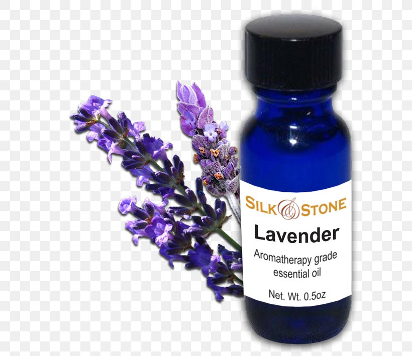 English Lavender Lavender Oil Essential Oil Health, PNG, 700x709px, English Lavender, Aromatherapy, Cajeput Oil, Essential Oil, Eucalyptus Oil Download Free