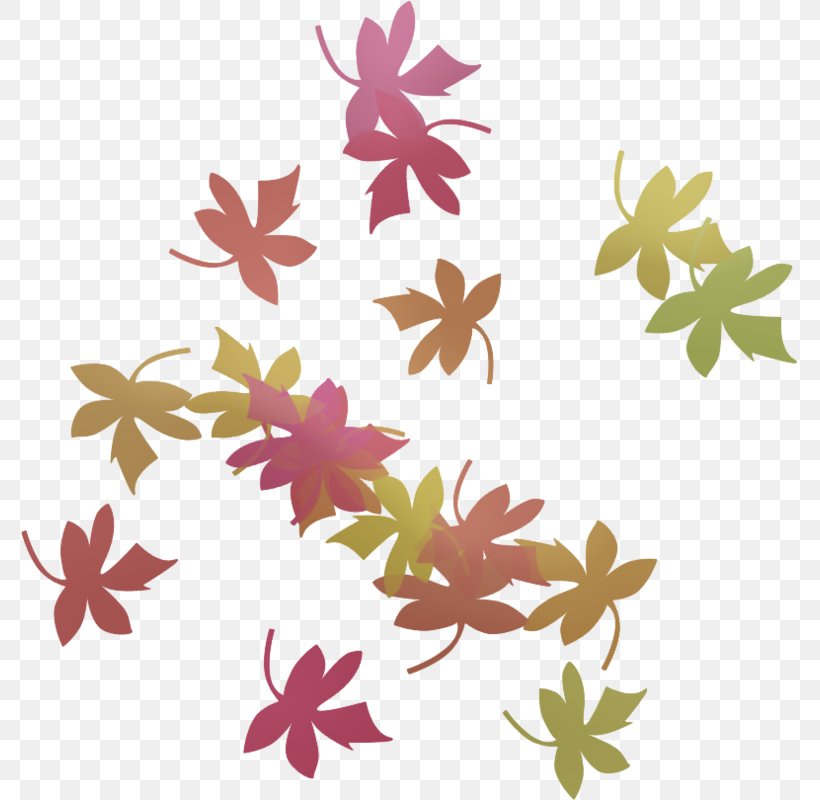 Floral Design Petal Leaf Pattern, PNG, 777x800px, Floral Design, Branch, Flora, Floristry, Flower Download Free