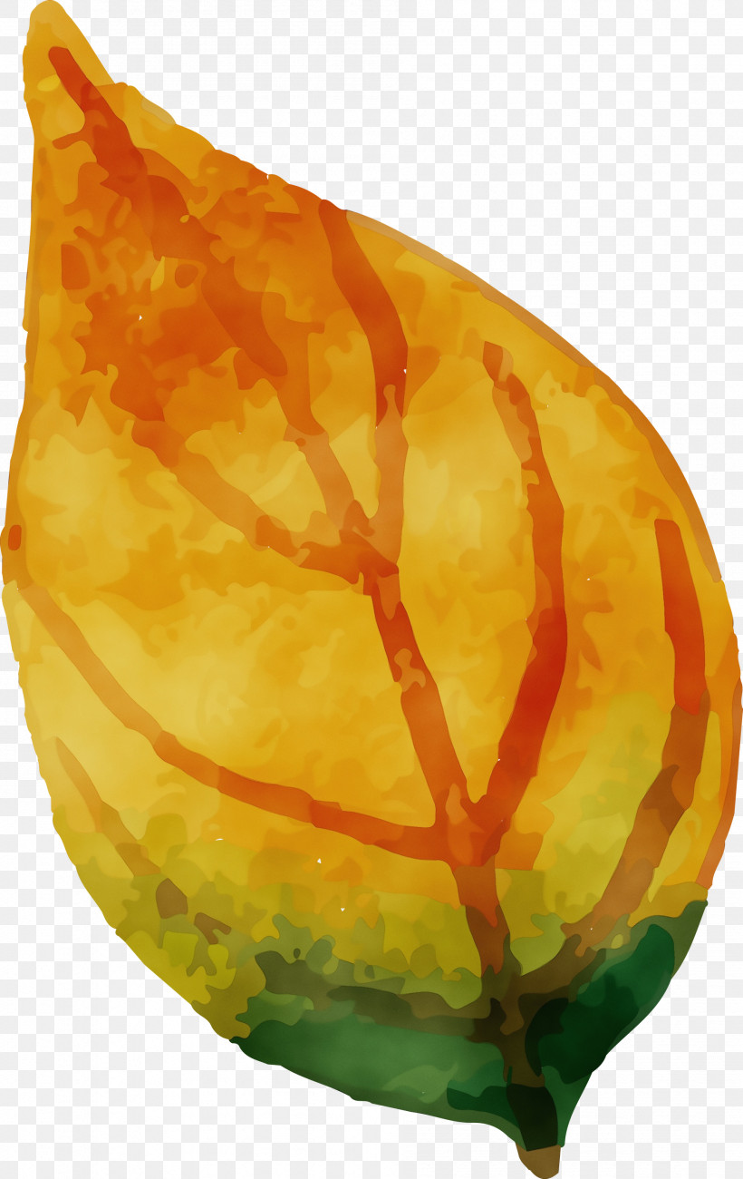 Gourd, PNG, 1891x3000px, Watercolor Autumn, Gourd, Paint, Watercolor, Watercolor Autumn Leaf Download Free