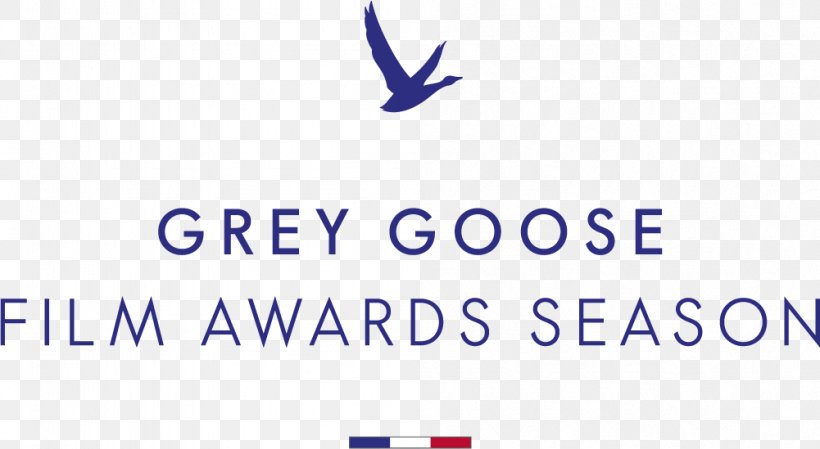 Grey Goose Brand Organization Community, PNG, 1001x549px, Grey Goose, Area, Bacardi, Blue, Brand Download Free