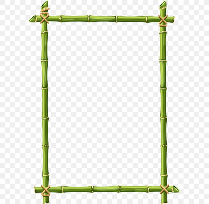 Bamboo Clip Art, PNG, 599x800px, Bamboo, Can Stock Photo, Grass, Green, Picture Frames Download Free