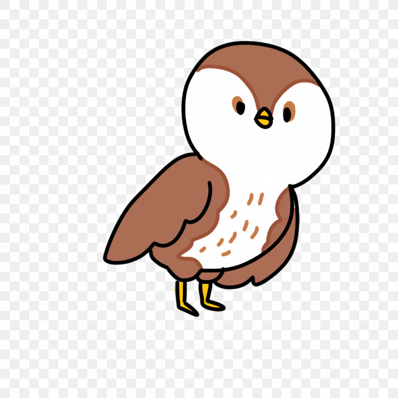 Cartoon Owl M Beak, PNG, 1200x1200px, Cartoon, Beak, Owl M Download Free