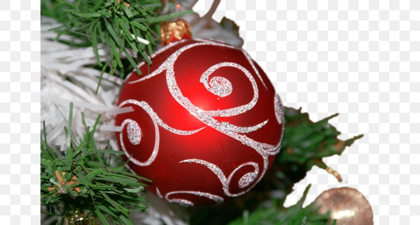 Groningen Eelderwolde Fletcher Familiehotel Paterswolde Christmas Tree, PNG, 661x439px, Groningen, Bombka, Christmas, Christmas Decoration, Christmas Ornament Download Free