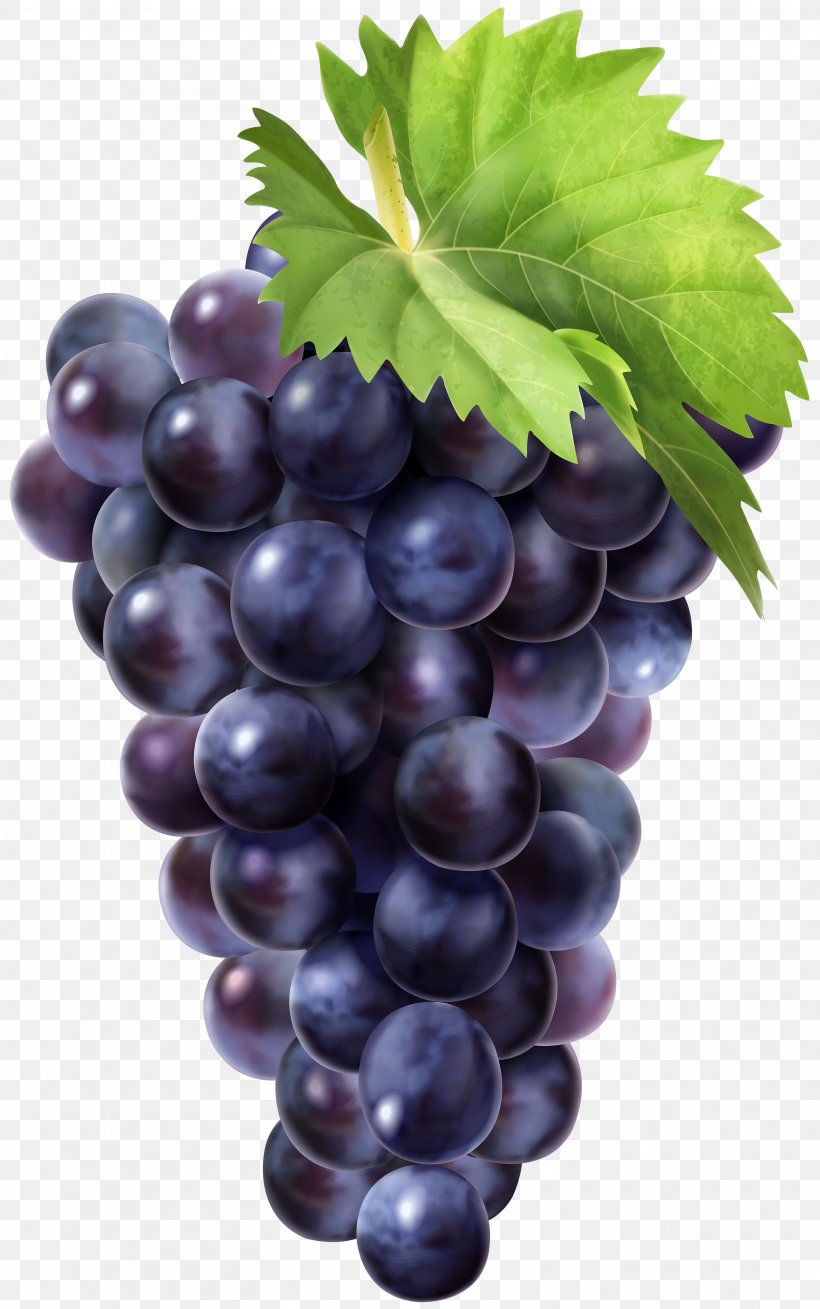 Grape Vector Graphics Clip Art Juice, PNG, 3131x5000px, Grape, Berries, Food, Fruit, Grape Leaves Download Free