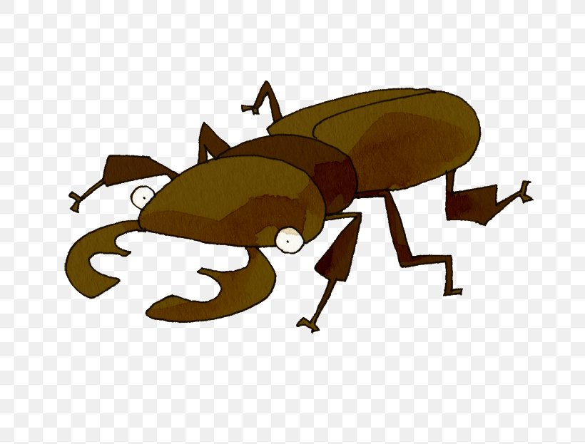 Insect Yuni Garden Stag Beetle Japanese Rhinoceros Beetle, PNG, 700x623px, Insect, Animal, Cartoon, Insect Collecting, Invertebrate Download Free