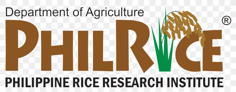 Philippines Philippine Rice Research Institute International Rice Research Institute Food, PNG, 1200x471px, Philippines, Brand, Food, Industry, Logo Download Free