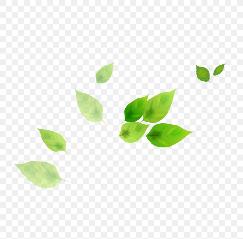 Leaf Image Design Download, PNG, 804x804px, Leaf, Art, Branch, Designer, Green Download Free