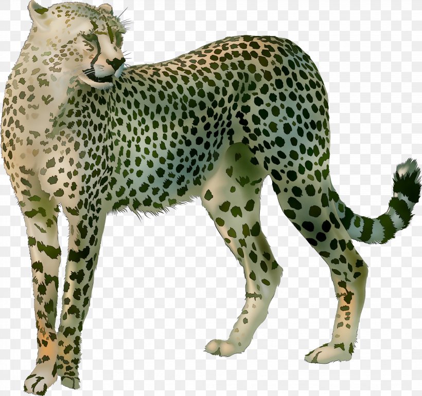 Cheetah Leopard Big Cat Terrestrial Animal, PNG, 4277x4023px, Cheetah, African Leopard, Animal, Animal Figure, Big Cat Download Free