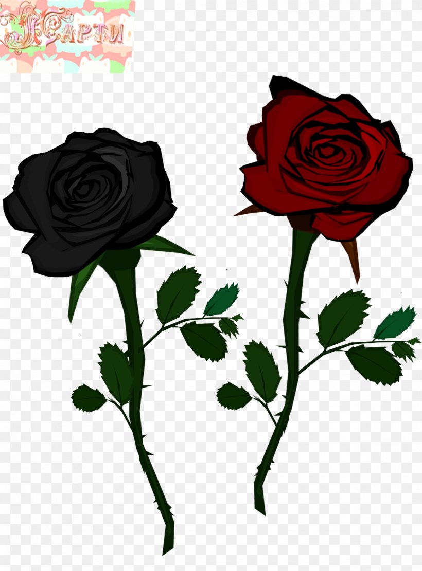 Garden Roses Cabbage Rose Flower Clothing, PNG, 1213x1644px, Garden Roses, Cabbage Rose, Clothing, Cut Flowers, Eye Download Free